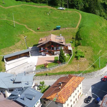 Appartamenti Patrizia San Pietro di Cadore Exteriör bild