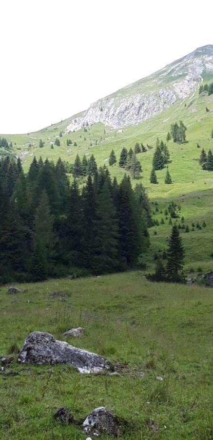 Appartamenti Patrizia San Pietro di Cadore Exteriör bild