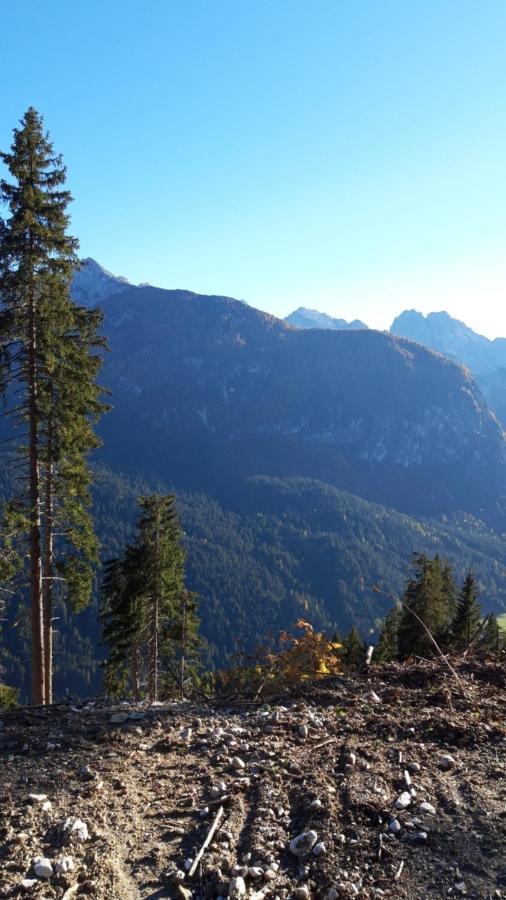Appartamenti Patrizia San Pietro di Cadore Exteriör bild
