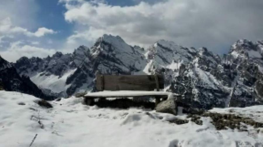 Appartamenti Patrizia San Pietro di Cadore Exteriör bild