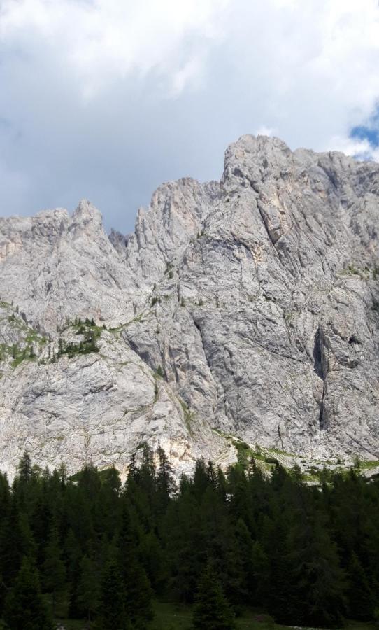 Appartamenti Patrizia San Pietro di Cadore Exteriör bild