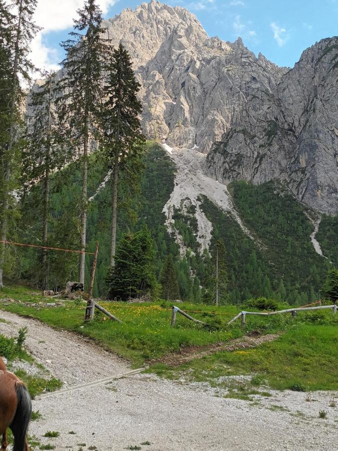 Appartamenti Patrizia San Pietro di Cadore Exteriör bild