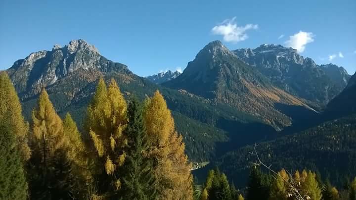 Appartamenti Patrizia San Pietro di Cadore Rum bild