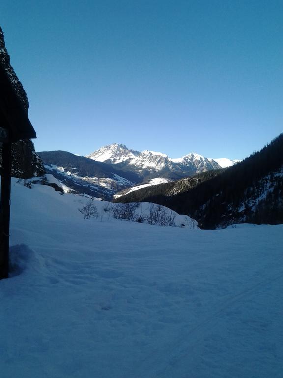 Appartamenti Patrizia San Pietro di Cadore Exteriör bild