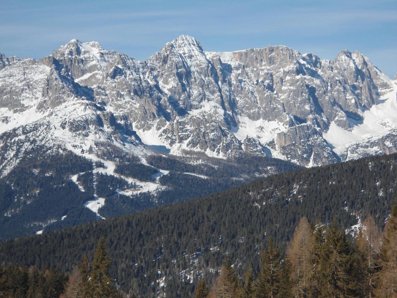 Appartamenti Patrizia San Pietro di Cadore Exteriör bild