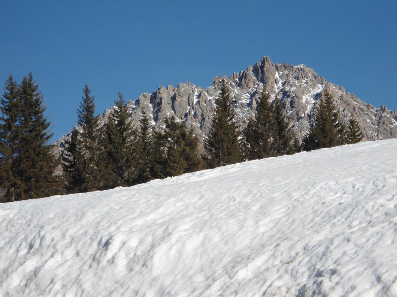 Appartamenti Patrizia San Pietro di Cadore Exteriör bild